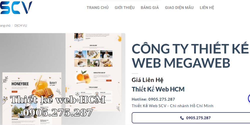 Công ty thiết kế web Hà Nội - Mega web