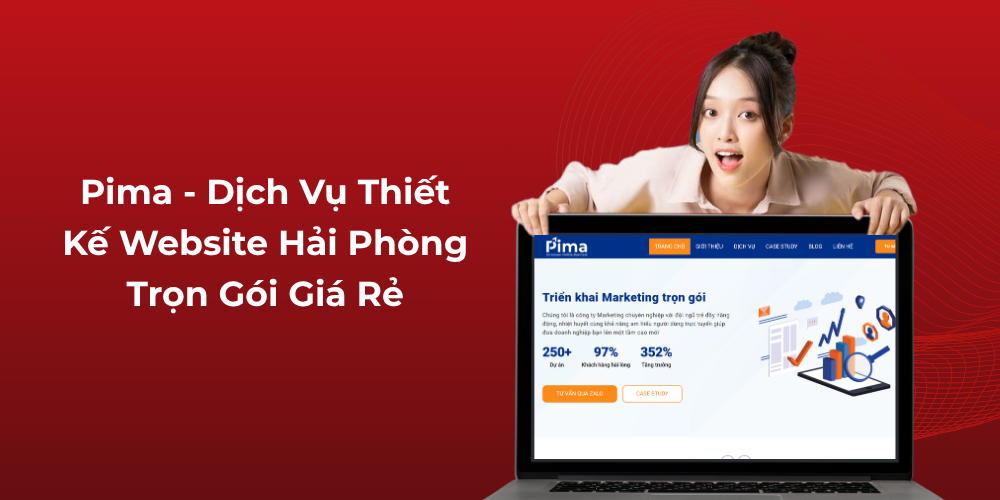 Pima - Dịch vụ thiết kế website Hải Phòng trọn gói giá rẻ 